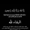 ezzeldinabdelnour