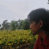 ekoadyy85