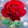 user1030559012835