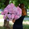 user1060303061943