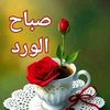 user7580573057673