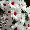 .evgenjevna