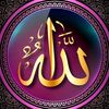 msst135