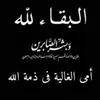 amna45t6