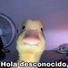 rompe1123luis