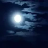 andreasuarez754