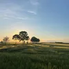 luisaaa.0.8