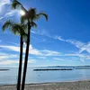 user9106160699327