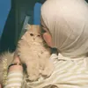 17ee.6