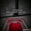 user6367066936125
