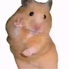woncat_21