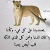 user4820615749972