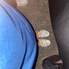 david12345_40