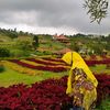 windyarghita