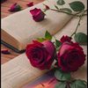 ali.jani4508