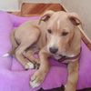 anthony_14sjm