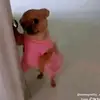 fbn_keke