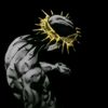 ibrahimof.fx