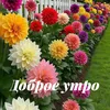 user9196902918151