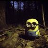 veritydraf6_