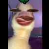 butidontlike_.it