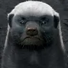 nht.long.triu0