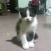 jhiliamomangubat