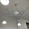 109110laypar1