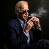 thebidenat0r