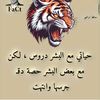 2yusaf