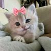 rosa_linatanuwijaya