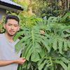DLY Plants House