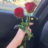 mounianour6
