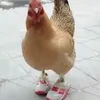 frangodetenis