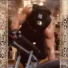 maximus18_12