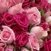 wafa4238814715545