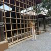 china_aurora05