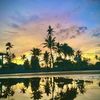 scar_tafolo676