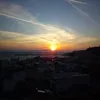 petricacoroiu8
