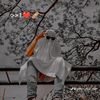 yasirqureshi141