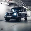cjf3173