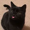 mimizz195