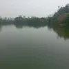 domcanudo