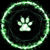techfox3