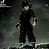 helomvieira1