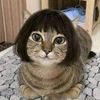sitimudmainah58