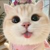 bik_sone