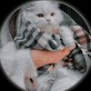 mano......billi25