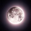 xo.editor.moon