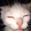 kat0uz_